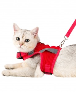 Kedi Tasması Göğüs Boyun Tasma Seti Sevk Kayışlı Terletmeyen Nefes Alan Reflektörlü Tasma M Kırmızı